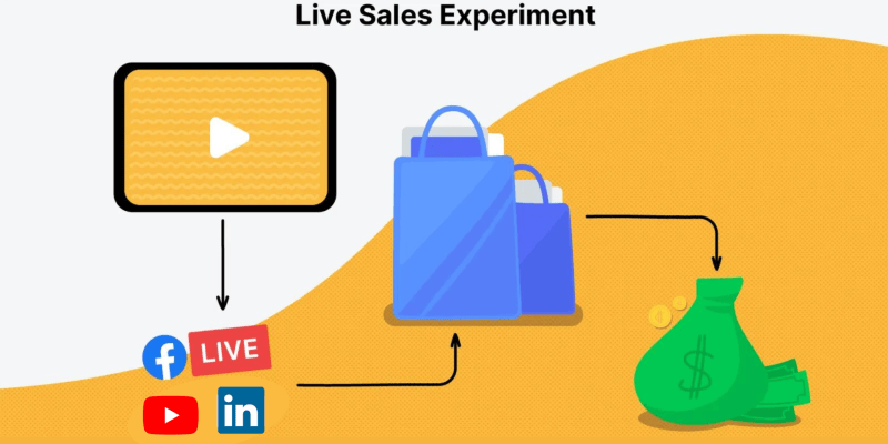 Live Sales Experiment: How I Got $500+ In Affiliate Sales In My First Two Weeks Of Selling